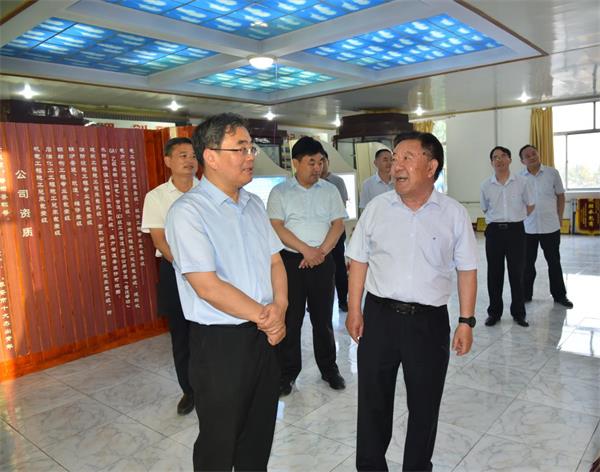 肥城市委副書記、市長展延安一行 蒞臨公司調研指導工作
