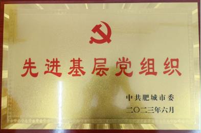 喜報！公司黨委榮獲肥城市“先進基層黨組織”榮譽稱號