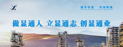 公司召開“慶七一·牢記使命心向黨”主題黨日活動 慶祝建黨102周年