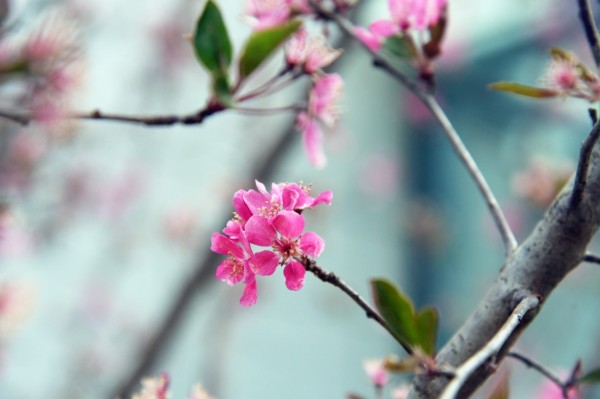 司園春景盛，奮進正當時